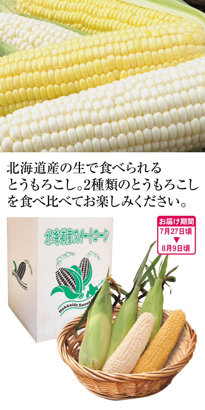 商品詳細