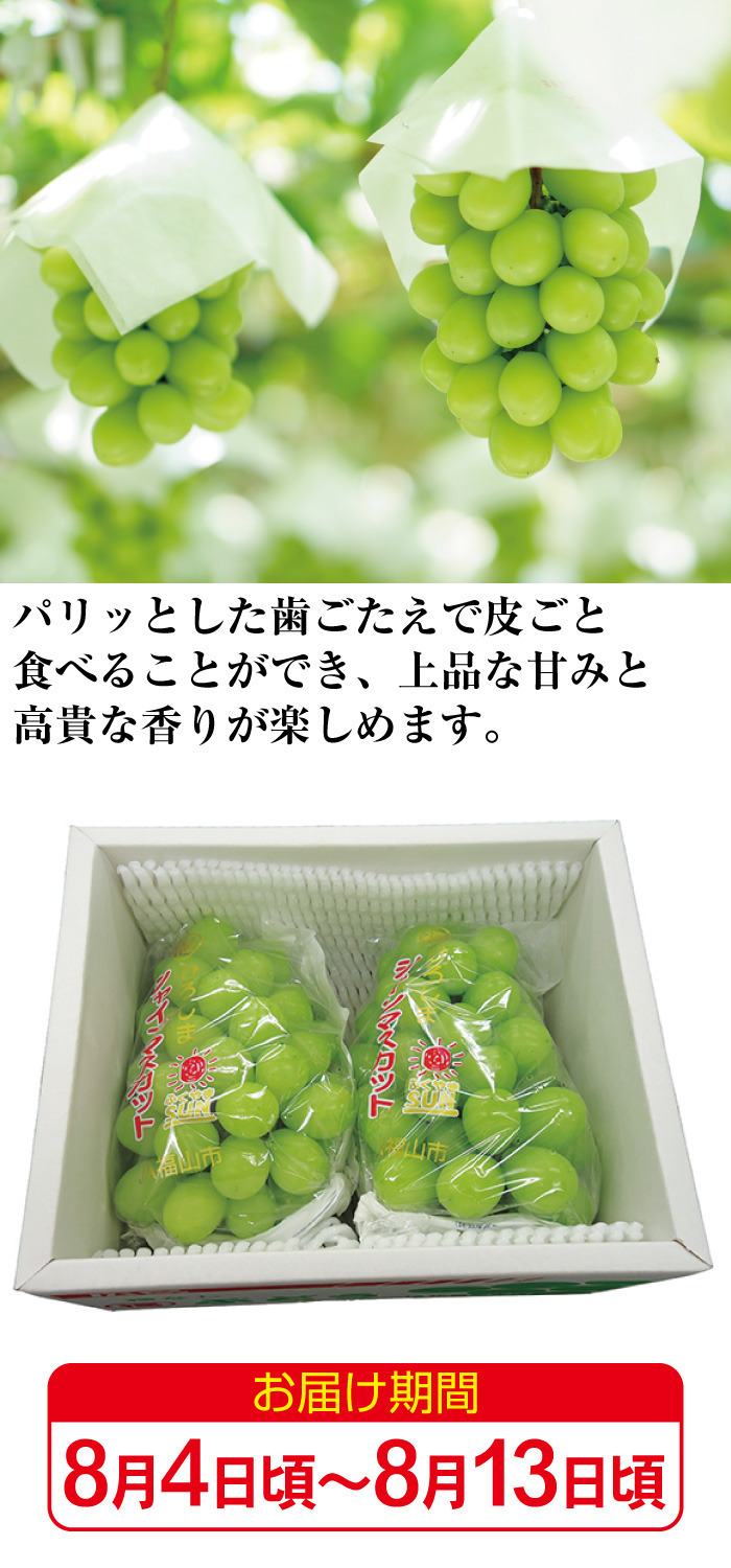 商品詳細