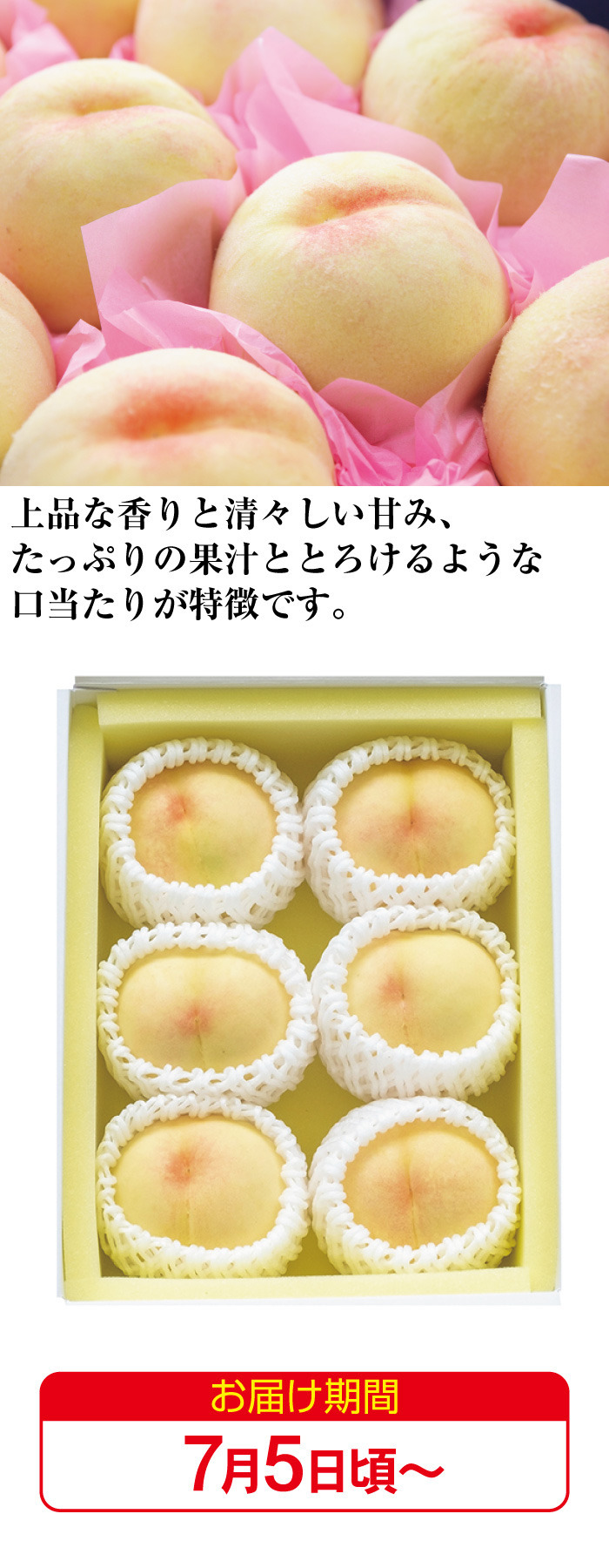 商品詳細