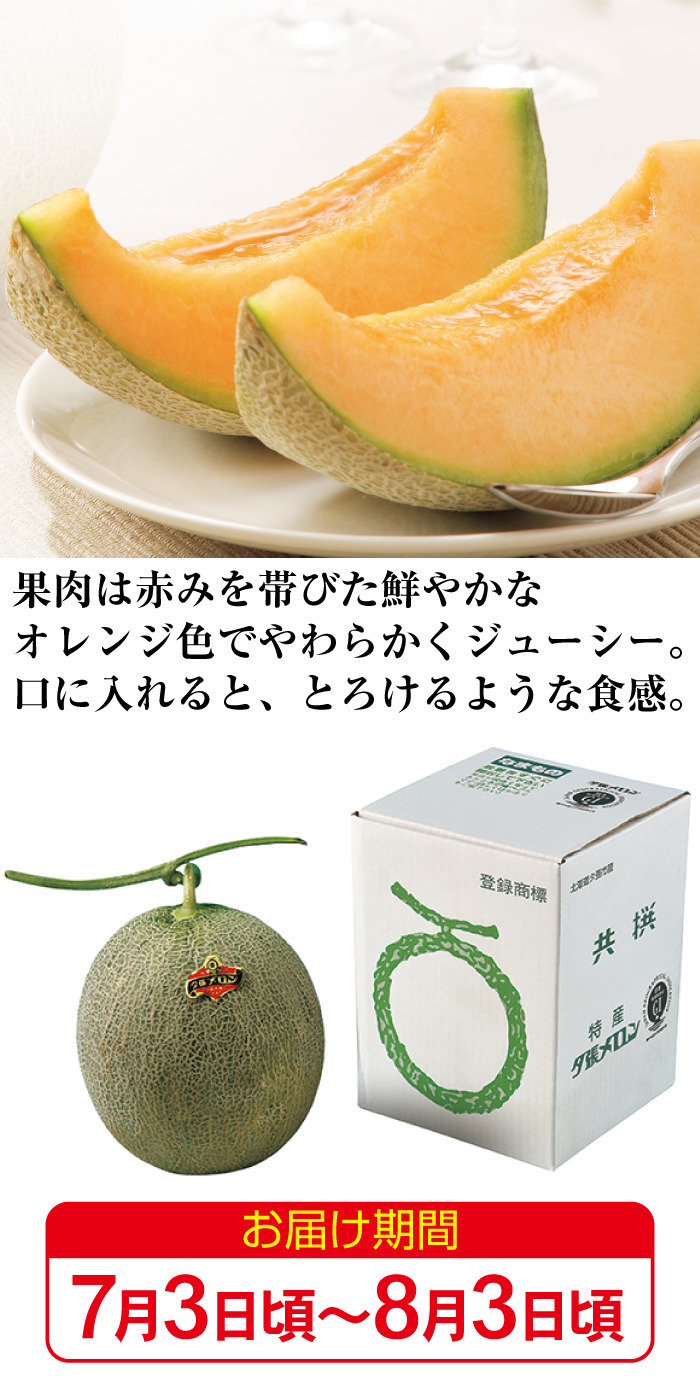 商品詳細