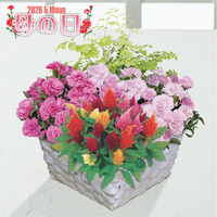 マザーズバスケット