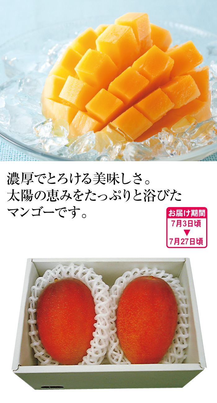 商品詳細