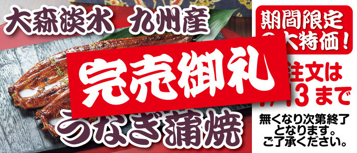 大森淡水 九州産うなぎ蒲焼大容量セット