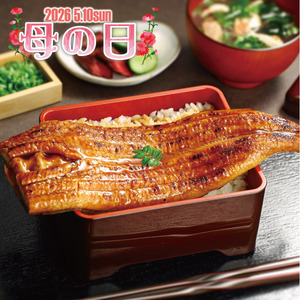 大森淡水 特大国産うなぎ蒲焼（長焼）３００ｇ（１尾入）00