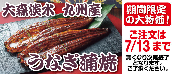 大森淡水 九州産うなぎ蒲焼大容量セット