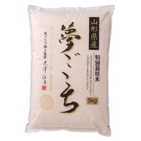 山形県産　黒澤信彦さんの夢ごこち(5kg)
