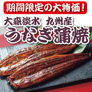 大森淡水 九州産うなぎ蒲焼大容量セット