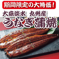 大森淡水 九州産うなぎ蒲焼大容量セット