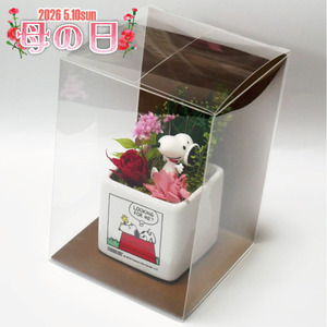 スヌーピーリトルガーデン（プリザーブドフラワー）