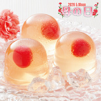 山形県産さくらんぼのゼリーと マーガレット鉢植え５号のセット