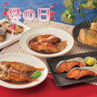 氷温熟成　煮魚・焼魚ギフトセット（１０切） 商品画像 00