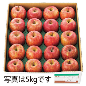 山形県産　サンふじりんご（３ｋｇ）　