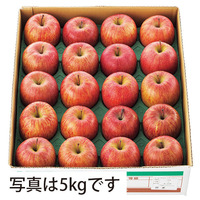 山形県産　サンふじりんご（３ｋｇ）　