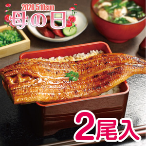 大森淡水 特大国産うなぎ蒲焼（長焼）６００ｇ（２尾入）