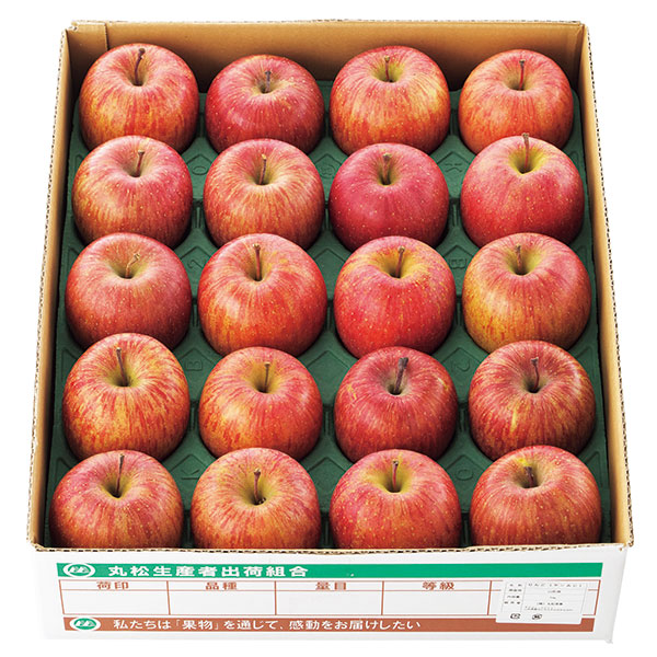 山形県産　サンふじりんご（５ｋｇ）　