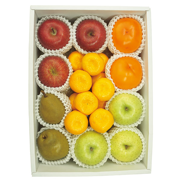 冬の果物５種詰合せ　