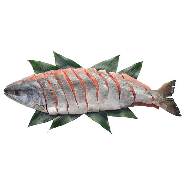 北海道産　新巻鮭姿切身（２．０ｋｇ）　