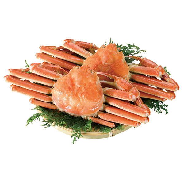 ボイルずわいがに姿（２杯　計１ｋｇ）　