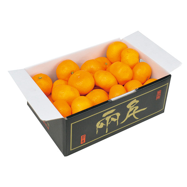 愛媛県産　日の丸みかん（２ｋｇ）